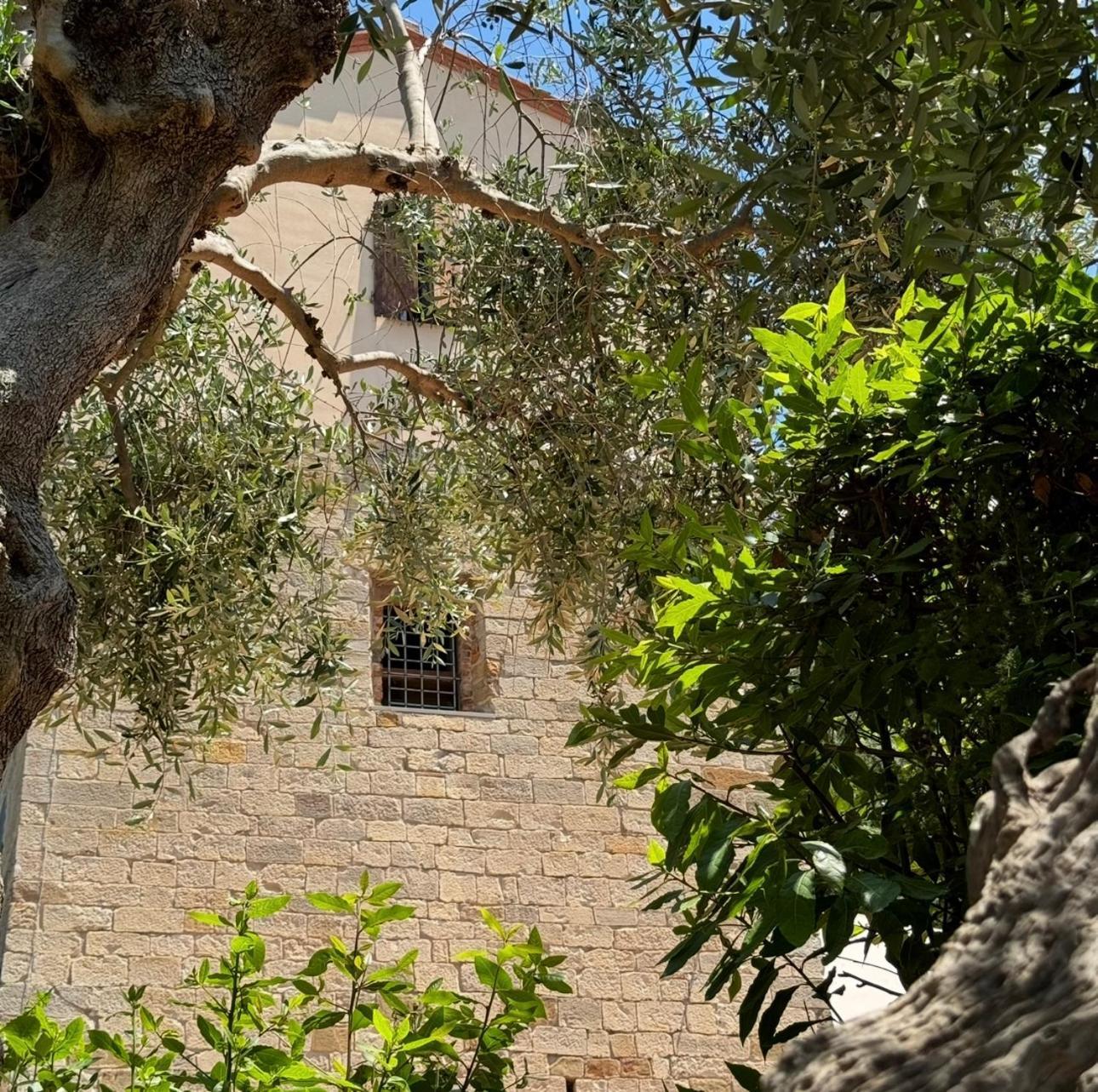 Madonna Del Poggio Cav Aparthotel Скарлино Екстериор снимка
