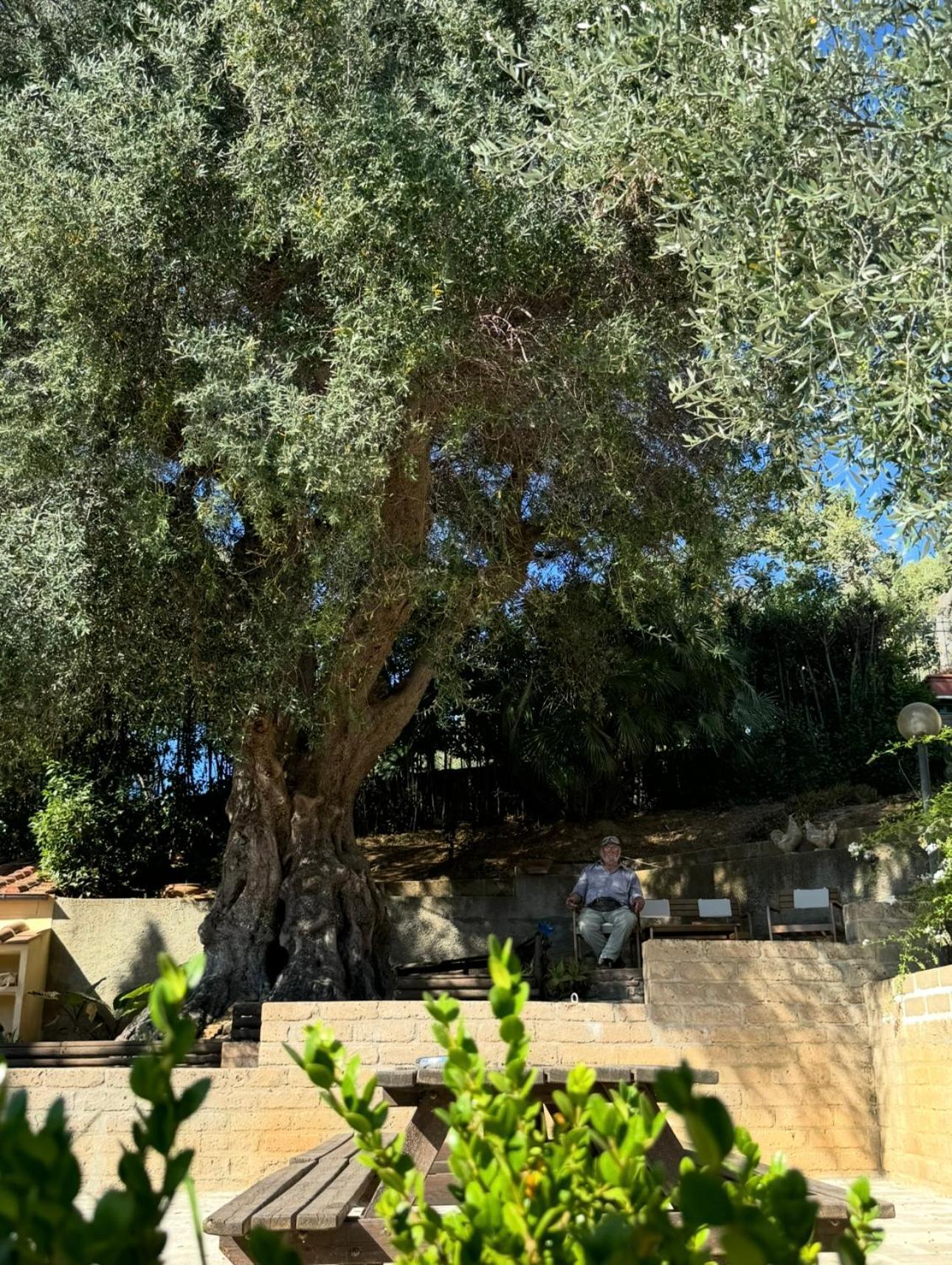 Madonna Del Poggio Cav Aparthotel Скарлино Екстериор снимка